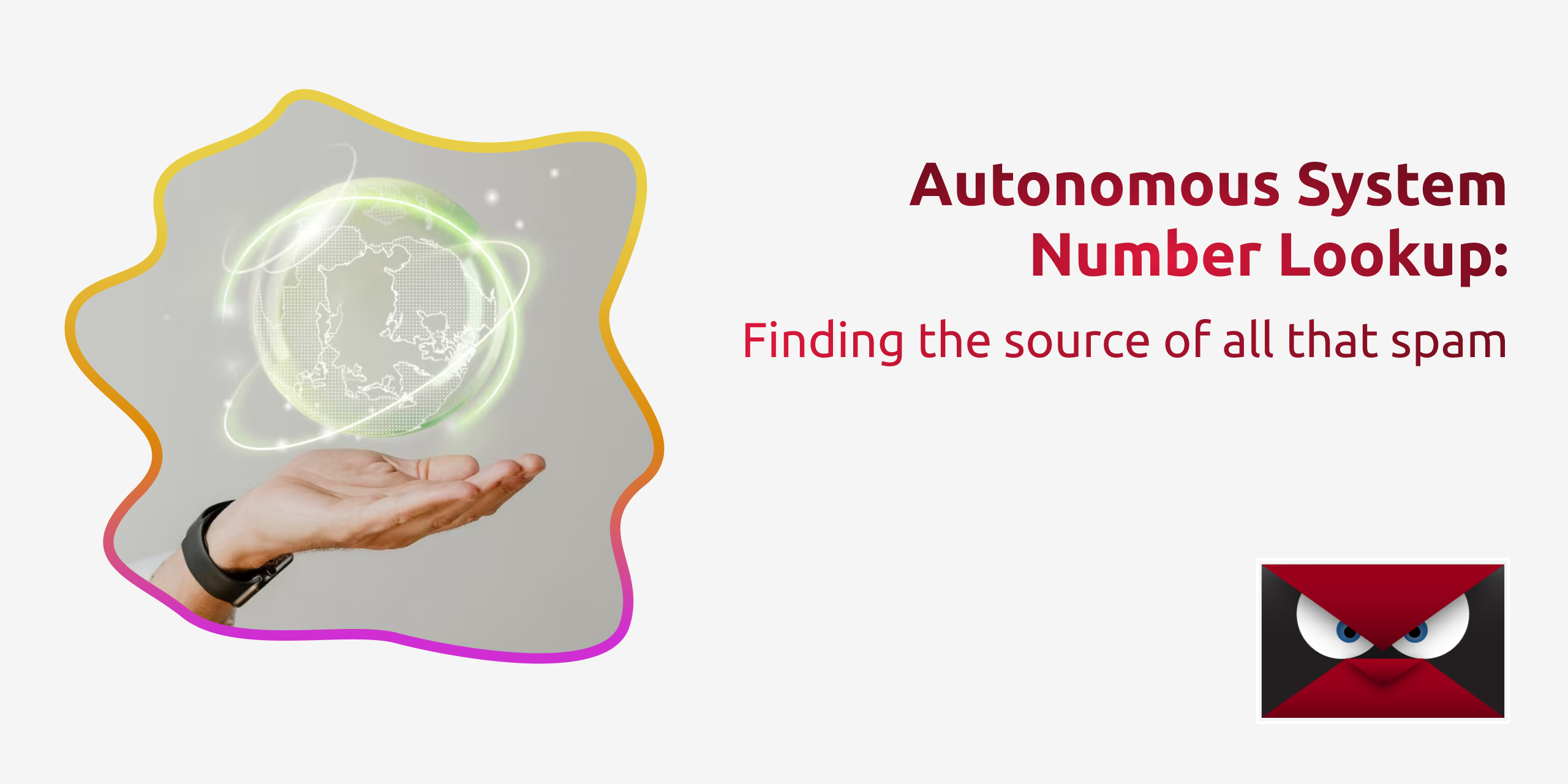 autonomous system number lookup